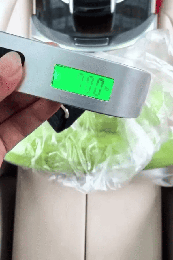 Electronic Luggage Scale