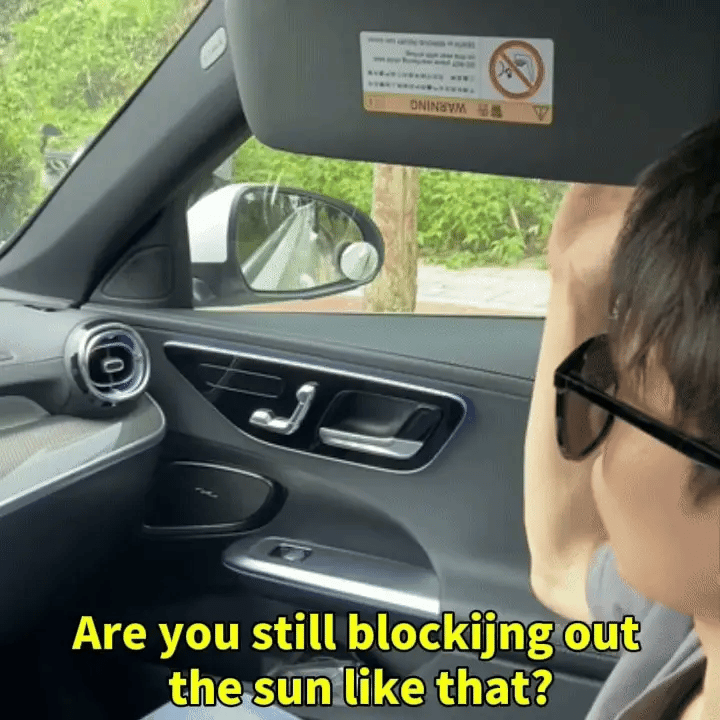Car Sunshade and Electrostatic Barrier