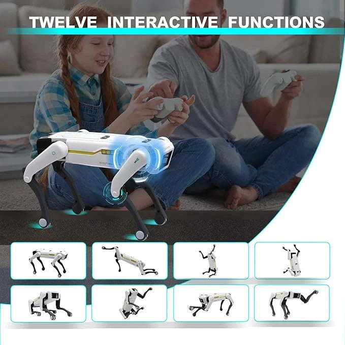 Smart Dog Multifunctional Toy